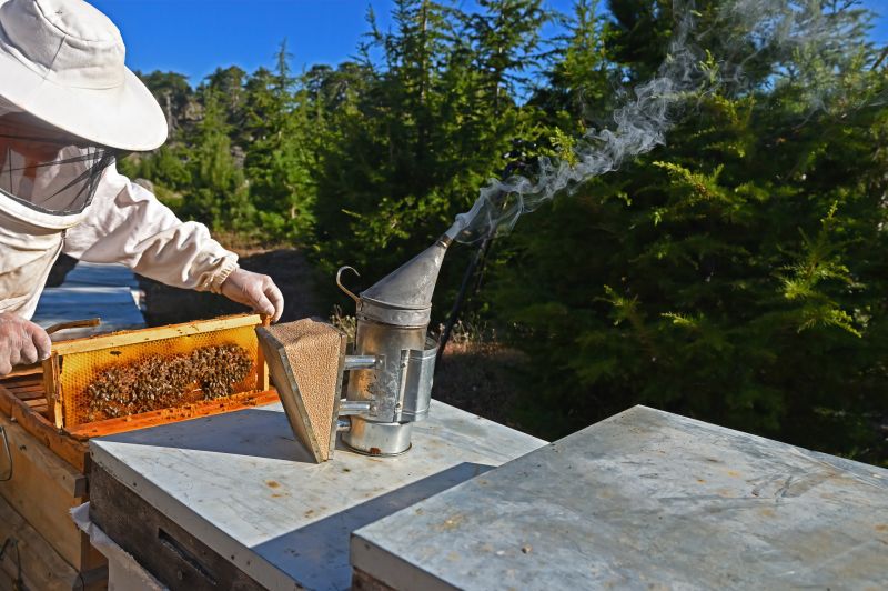 Safe Bee Hive Extraction