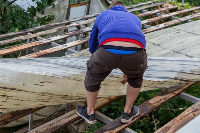 Removing a Hive from a Roof