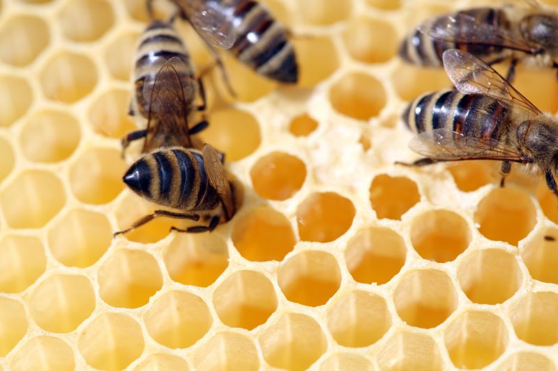 Material Picks that Last