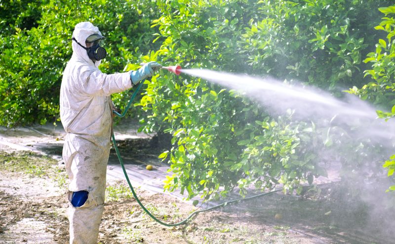 Fumigation Service in Lafayette, LA